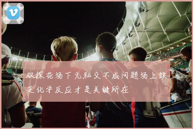 双探花场下无私交不成问题场上缺乏化学反应才是关键所在