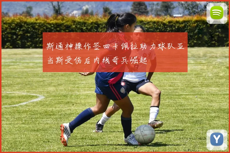 斯通神操作签回卡佩拉助力球队亚当斯受伤后内线奇兵崛起